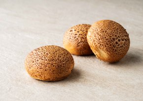 tijgerpistolet