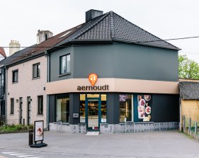 Drongen Catriestraat